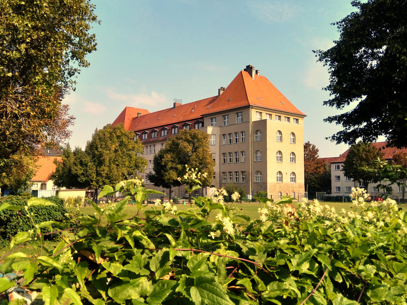 Hintergrundbild